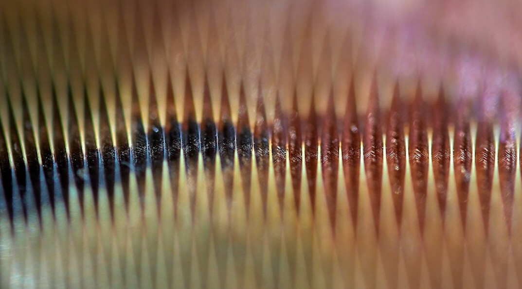 Macro close-up of an electronic circuit board with microchips